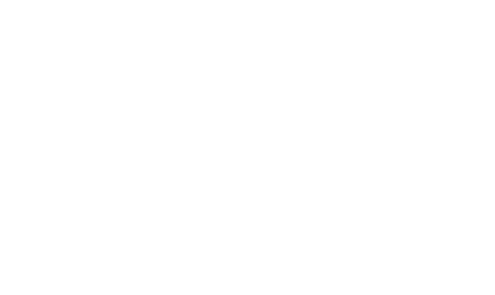 logo carivit